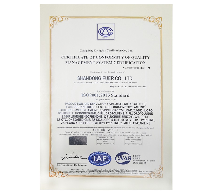 欧洲杯2026世界杯 欧洲杯2026世界杯