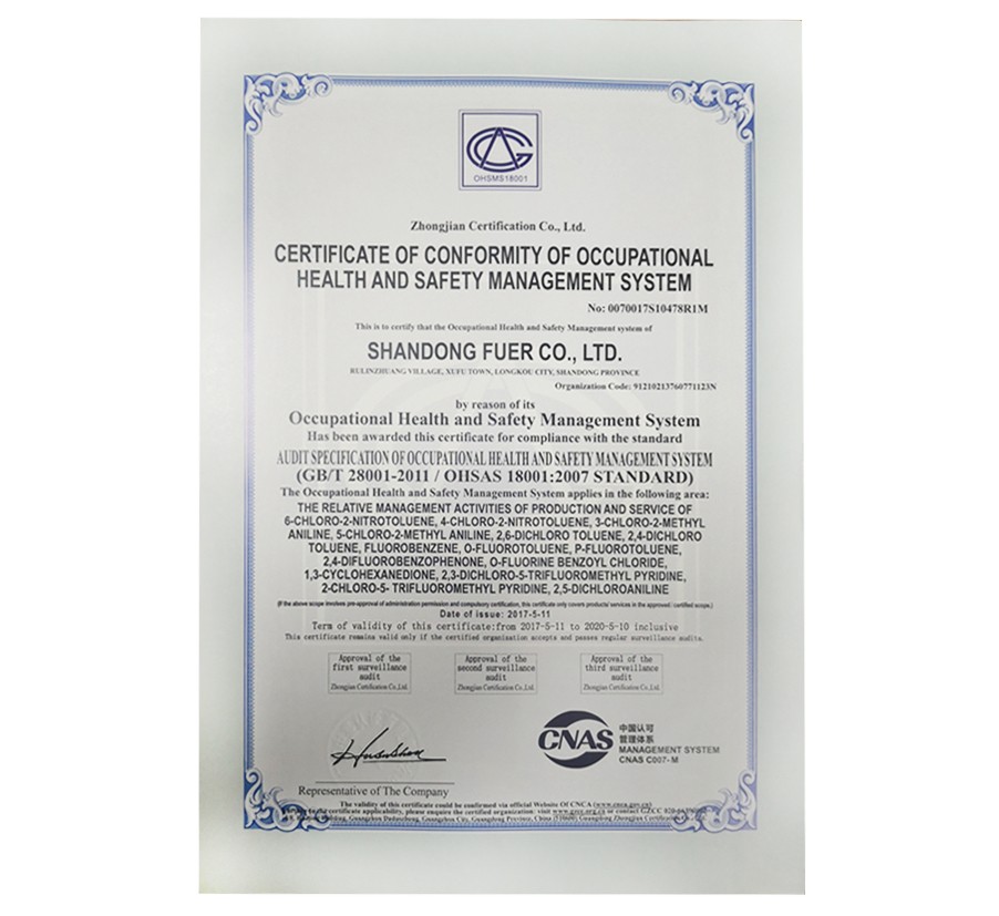 欧洲杯2026世界杯 欧洲杯2026世界杯