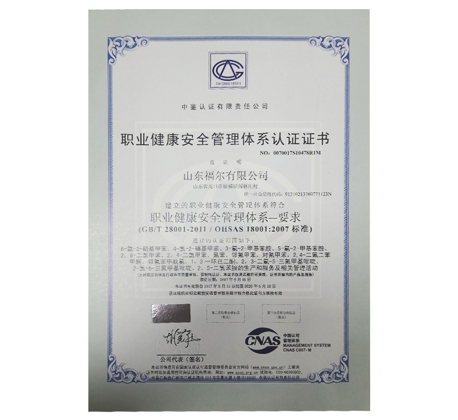 欧洲杯2026世界杯